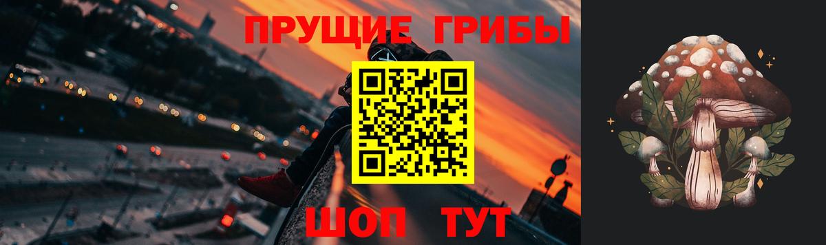 Псилоцибиновые грибы ЛСД Сокол